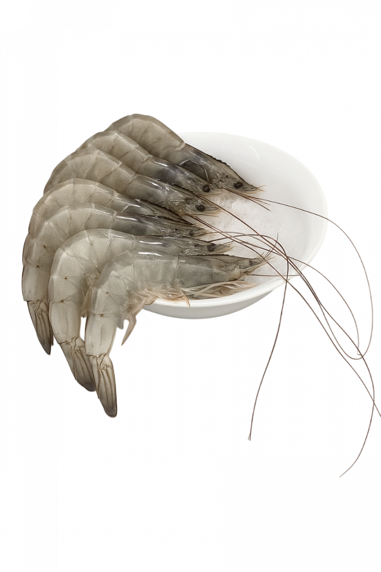 20250814 1018 camarones en plato remix 01k2mjdqn2fna94td4z3dyh6cx photoroom